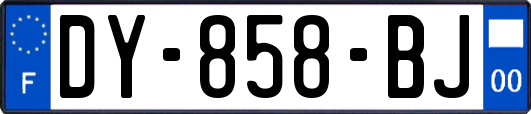 DY-858-BJ