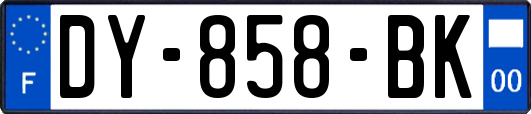 DY-858-BK