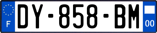 DY-858-BM