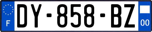 DY-858-BZ