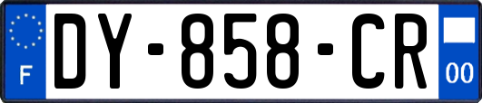 DY-858-CR