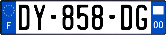 DY-858-DG