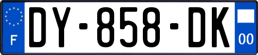 DY-858-DK