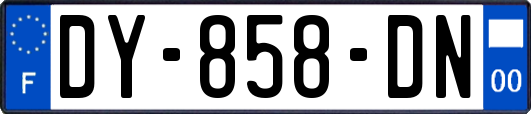 DY-858-DN