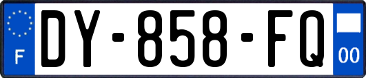 DY-858-FQ