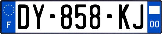 DY-858-KJ