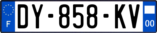 DY-858-KV