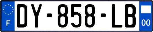 DY-858-LB