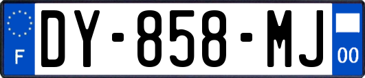 DY-858-MJ