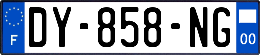DY-858-NG