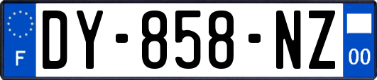 DY-858-NZ