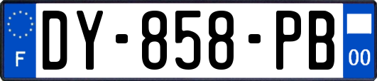 DY-858-PB