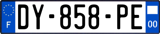 DY-858-PE
