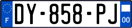 DY-858-PJ