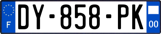 DY-858-PK
