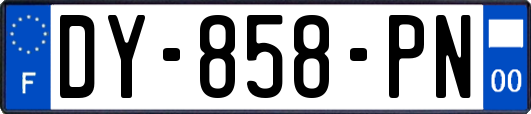 DY-858-PN