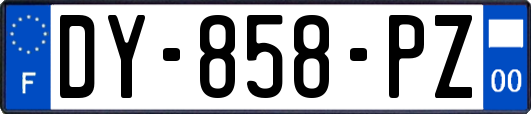 DY-858-PZ