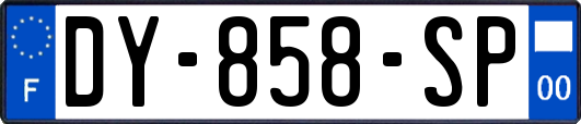 DY-858-SP