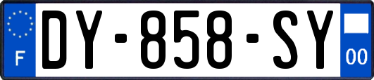 DY-858-SY