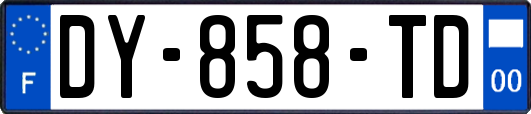 DY-858-TD