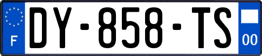 DY-858-TS