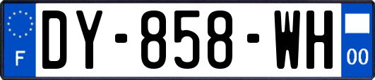 DY-858-WH