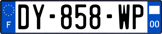 DY-858-WP