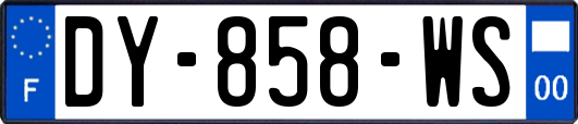 DY-858-WS