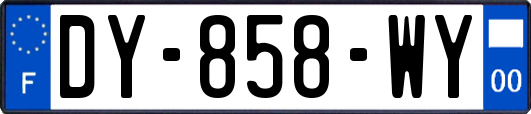 DY-858-WY