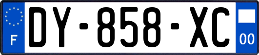 DY-858-XC