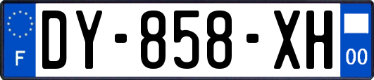 DY-858-XH