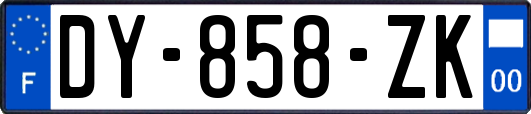 DY-858-ZK