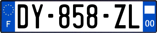 DY-858-ZL