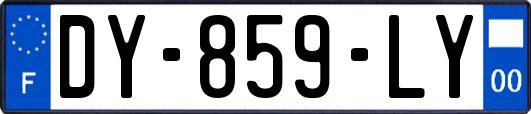DY-859-LY