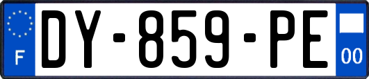 DY-859-PE
