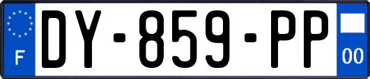 DY-859-PP