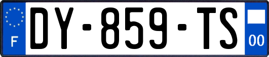 DY-859-TS