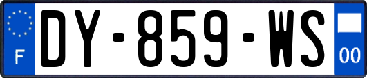 DY-859-WS