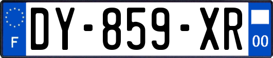 DY-859-XR