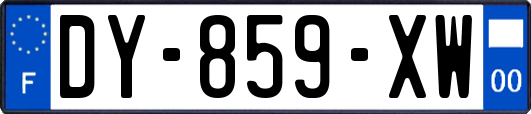 DY-859-XW