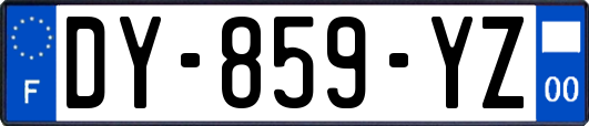 DY-859-YZ