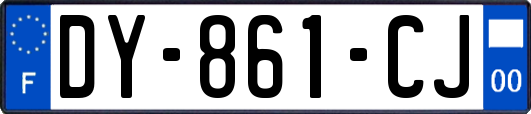 DY-861-CJ