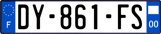 DY-861-FS