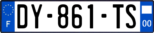 DY-861-TS