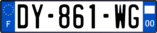 DY-861-WG