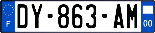 DY-863-AM