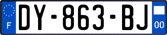 DY-863-BJ