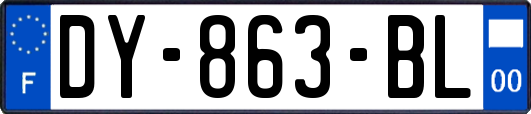 DY-863-BL