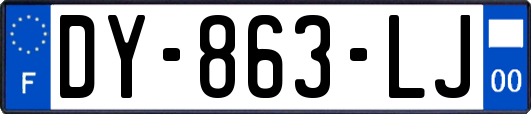 DY-863-LJ