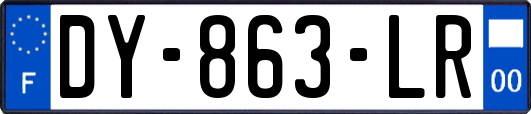 DY-863-LR